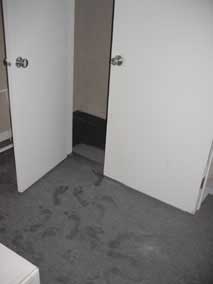 Wet carpet