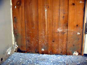 Wood tongue-and-groove paneling behind drywall