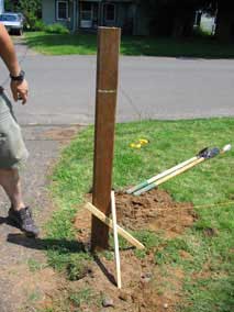 Fence post after staking and pouring concrete