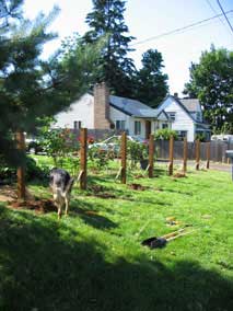 Fence posts along the front
