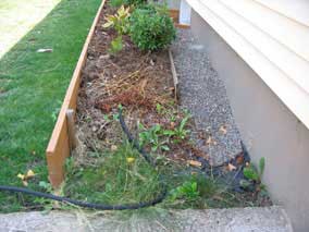 West end of planting bed before enclosing
