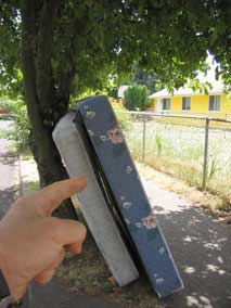 Nate points out the abandoned mattress and box springs next door