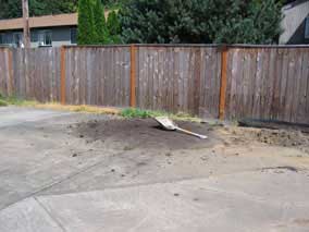 Nothing left of the compost pile from last fall