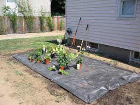 Plants layed out for west garden