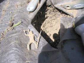 Buried indian in the garden