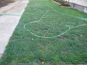 Lawn has finally filled in pretty well (with actual grass)