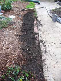 Preparing ground to plant new Wild Strawberry plants