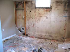 Most of the demolition wood removed from back room of basement