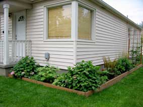 Front planting bed in May