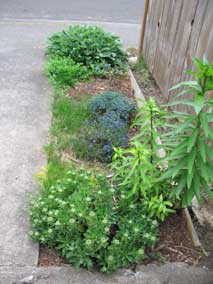 Small flowerbed needs some attention