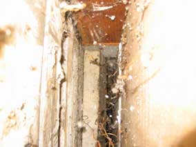 Inside garage back wall looking up