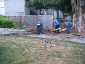 First couple branches down