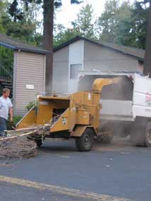 Chipper/shredder machine