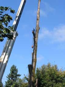 Hoisting up a longer chainsaw