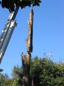 Another section of the main trunk lifts off