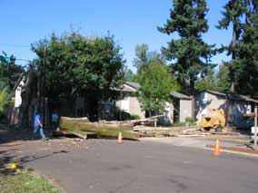 Another large section of the trunk comes down