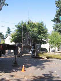 Large trunk section comes down