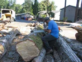 Filing the teeth on the big chainsaw