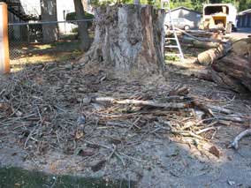 Quite a mess on the driveway