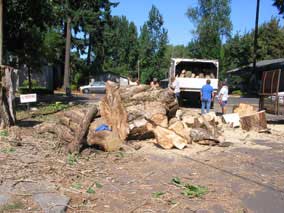 Box truck loaded up with wood, lots more to go
