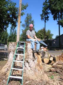Nate cuts down enormous poplar tree with a handsaw