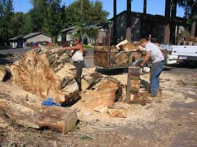 So much wood to cut up