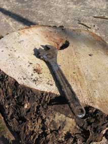 Crescent wrench found in the tree