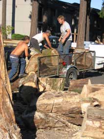 The big chainsaw taking a break