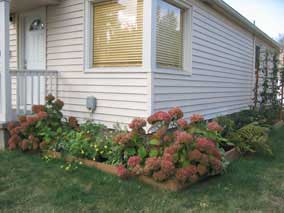 Front planting bed in late September
