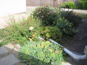 West garden in late September