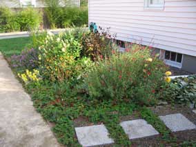 West garden in late October