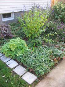 West garden in late October