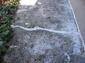 Caulk in sidewalk crack