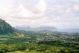 Views from Pali Highway Lookout