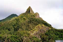Views from Pali Highway Lookout