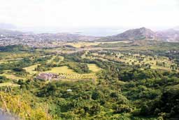 Views from Pali Highway Lookout