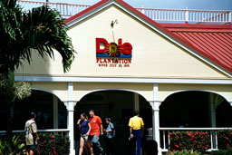 Dole Pineapple Plantation