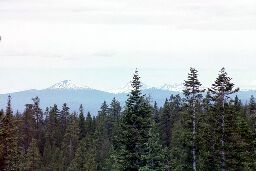 Bachelor and three Sisters from Paulina Peak