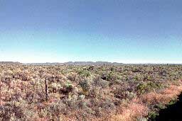 High desert on the way to Malheur