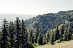 Hells Canyon