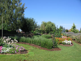 Bauman Farms
