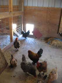 Bauman Farms