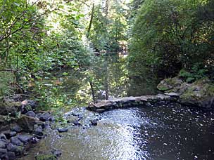 Johnson Creek at Leach Botanical Garden