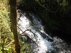 Drake Falls (27 feet), Silver Falls State Park, Oregon