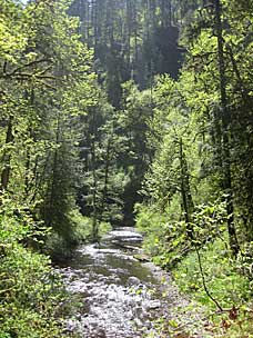 North Fork Silver Creek below Drake Falls, Silver Falls State Park, Oregon