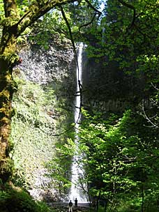 Double Falls (officially 178 feet, unofficially 184), Silver Falls State Park, Oregon