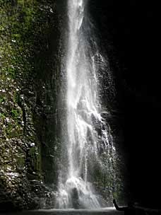 Double Falls (officially 178 feet, unofficially 184), Silver Falls State Park, Oregon
