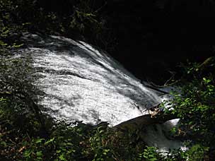 Lower North Falls (30 feet), Silver Falls State Park, Oregon