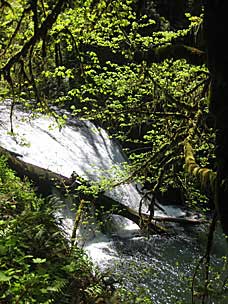 Lower North Falls (30 feet), Silver Falls State Park, Oregon
