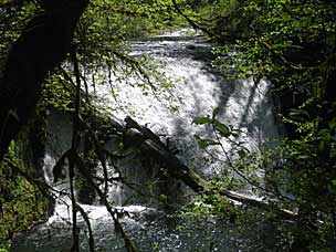 Lower North Falls (30 feet), Silver Falls State Park, Oregon